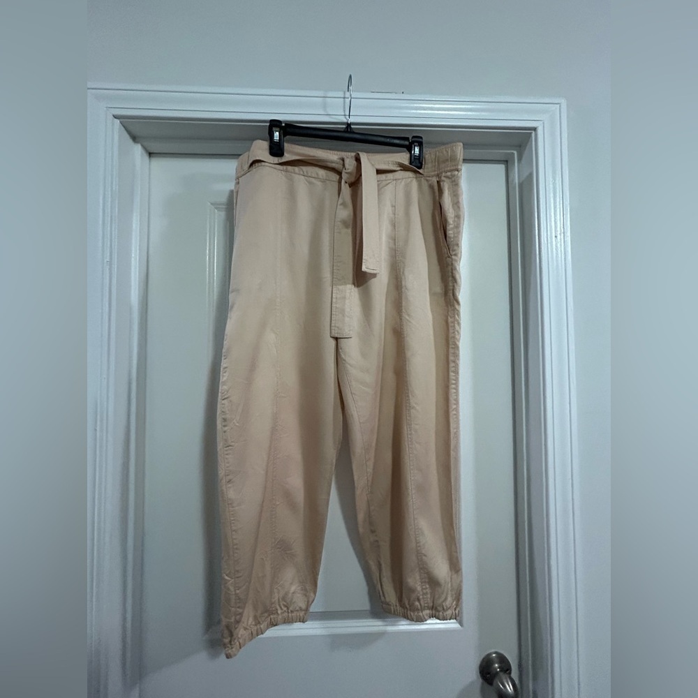 Club Monaco Light Tan Jogger Pants-25"